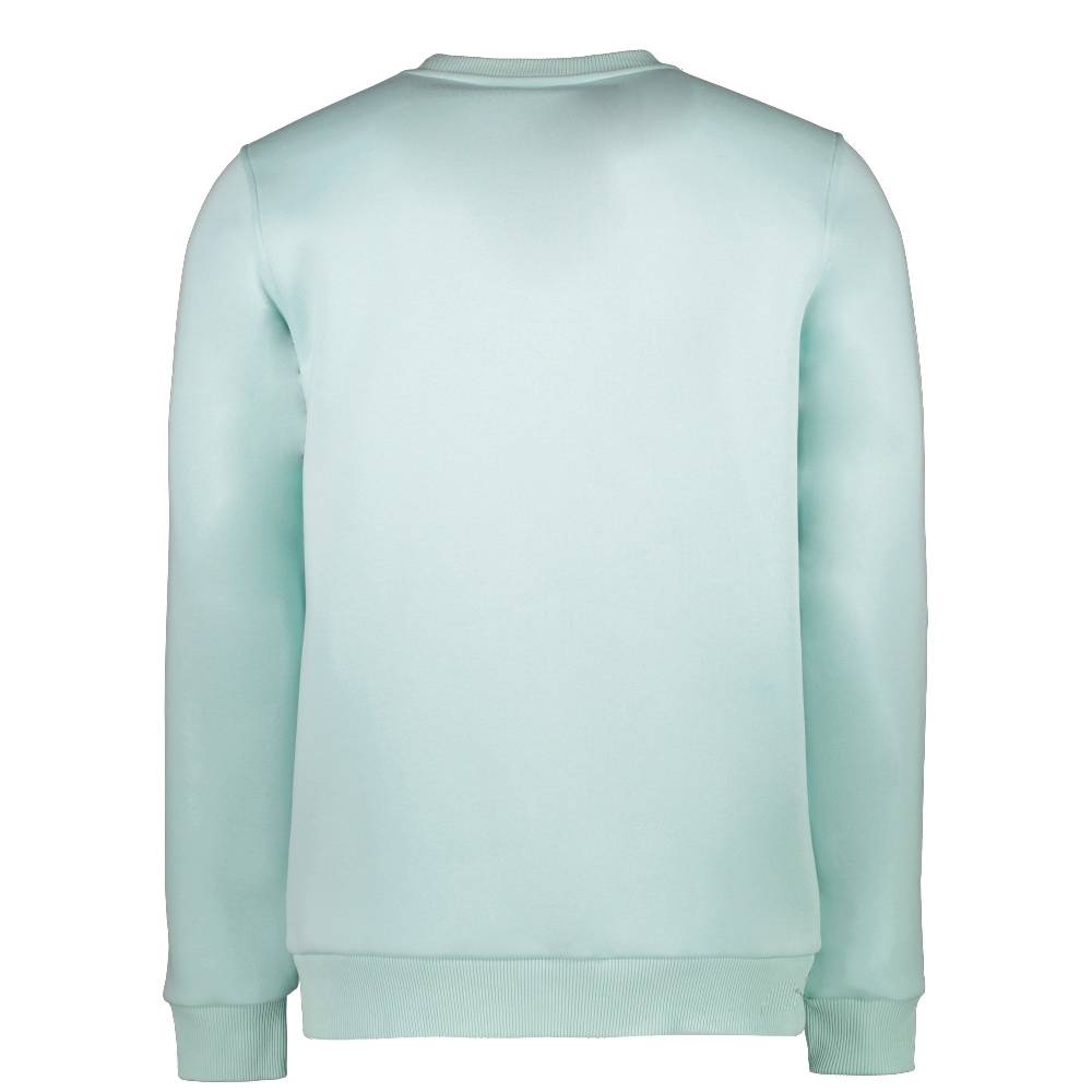 Cars Jeans CROYDON SW Soft Mint