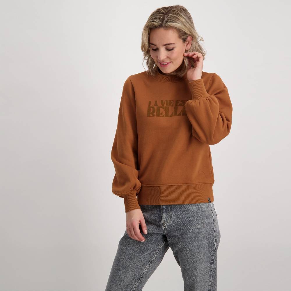 Cars Jeans DANIEK SW Camel