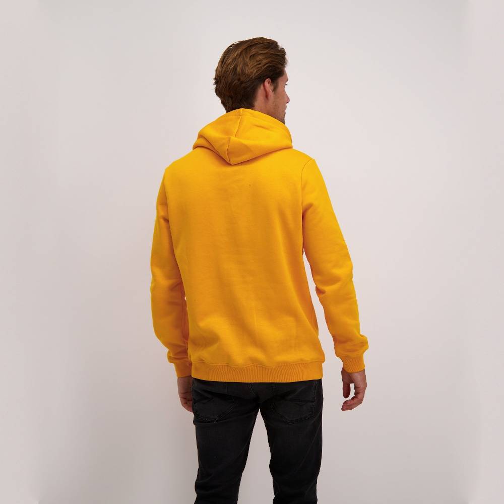 Cars Jeans KIMAR HOOD SW OCRE