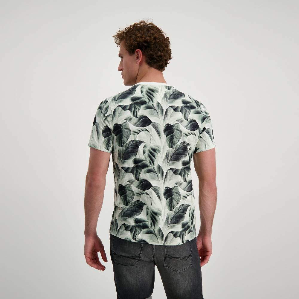 Cars Jeans Tipah Ts Moss (44 Moss)