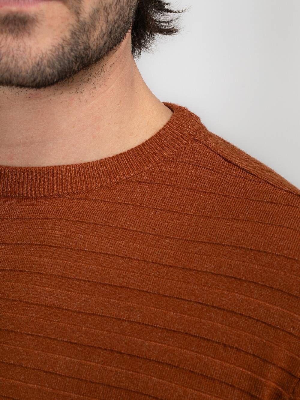 Petrol M-3040-KWR269 Men Knitwear Round Neck Basic (2123 Dark Caramel)