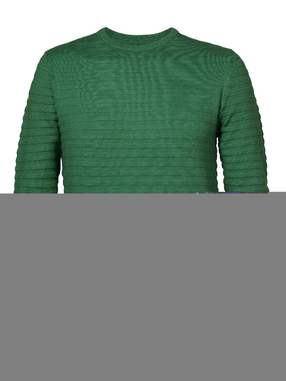 Petrol M-3040-KWR269 Men Knitwear Round Neck Basic (6167 Wasabi)
