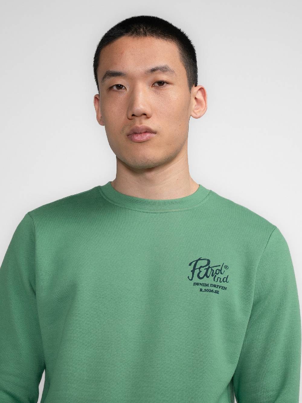 Petrol M-3040-SWR363 Men Sweater Round Neck Print (6167 Wasabi)