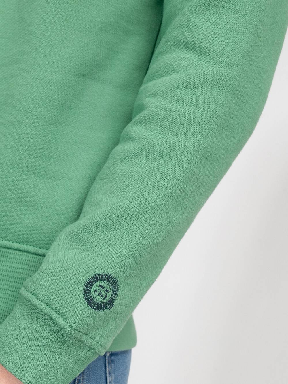 Petrol M-3040-SWR363 Men Sweater Round Neck Print (6167 Wasabi)