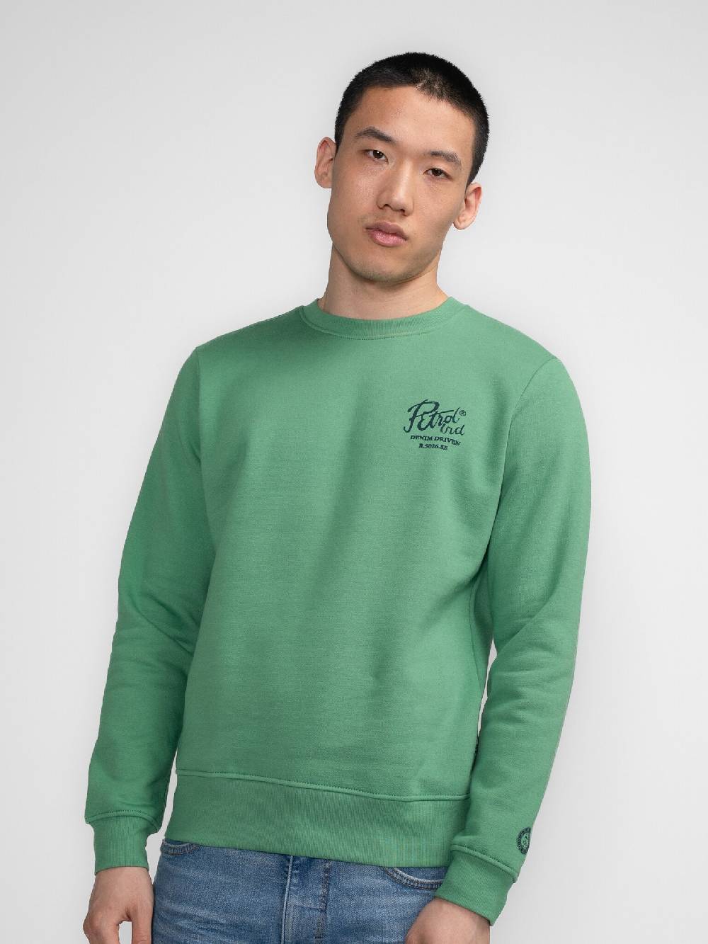 Petrol M-3040-SWR363 Men Sweater Round Neck Print (6167 Wasabi)