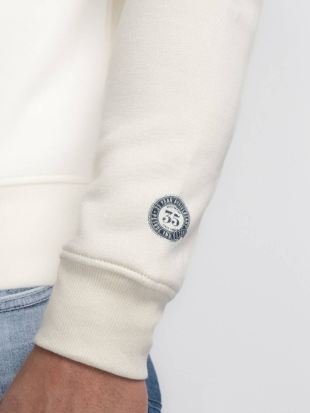 Petrol M-3040-SWR364 Men Sweater Round Neck Print (0007 Antique White)