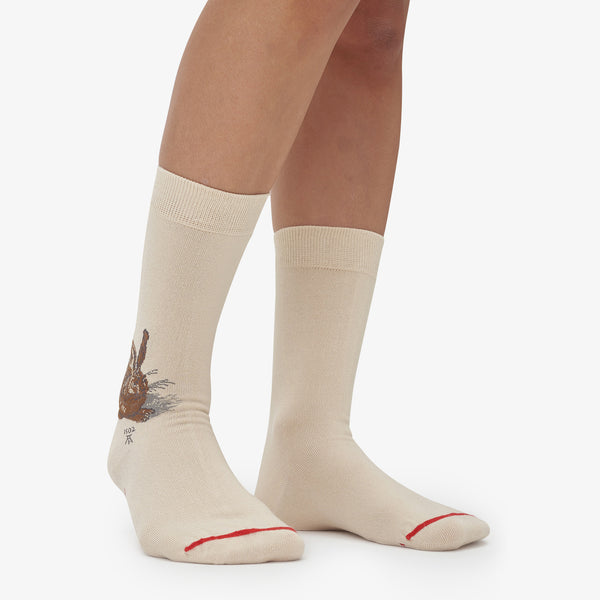 Musearta Albrecht Dürer - Feldhase