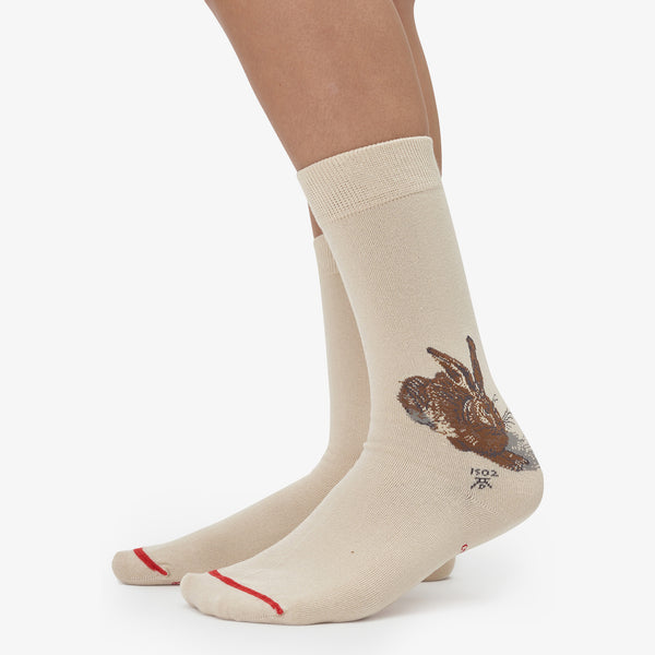 Musearta Albrecht Dürer - Feldhase