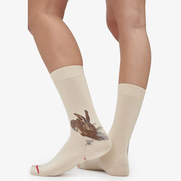 Musearta Albrecht Dürer - Feldhase