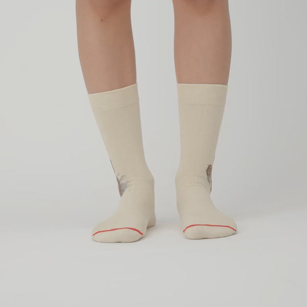 Musearta Albrecht Dürer - Feldhase