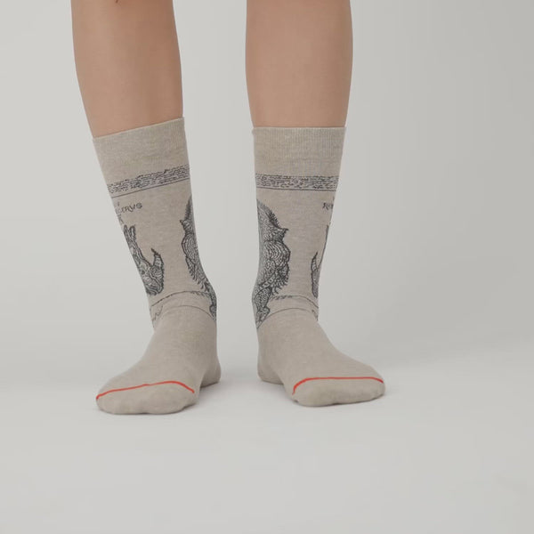 Musearta Albrecht Dürer - Rhinozerus