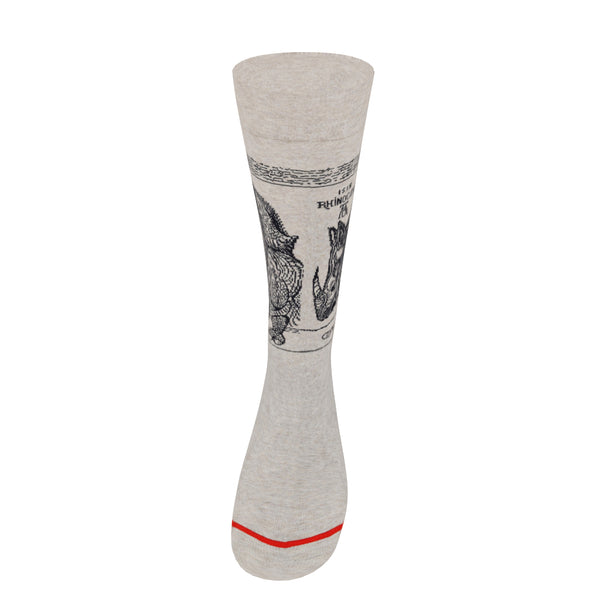 Musearta Albrecht Dürer - Rhinozerus