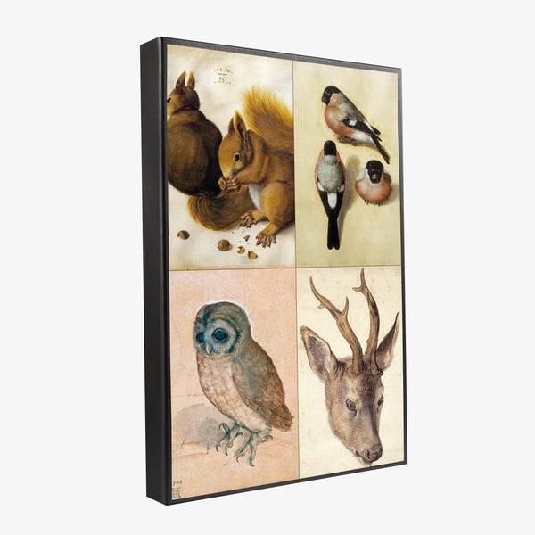 Musearta Albrecht Dürer - Tiermotive - Geschenkset