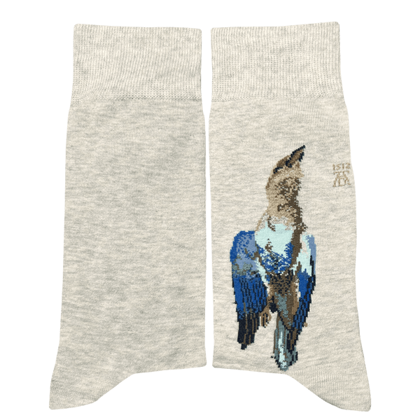 Musearta Albrecht Dürer - Tote Blauracke