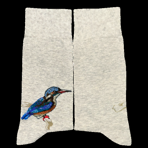 Musearta John Ruskin – Kingfisher