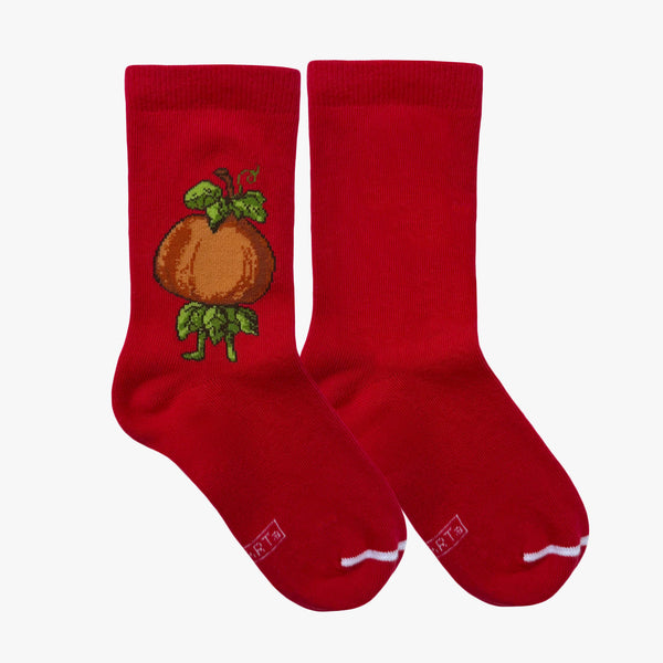 Musearta P. Croce - Kürbis & Karotte