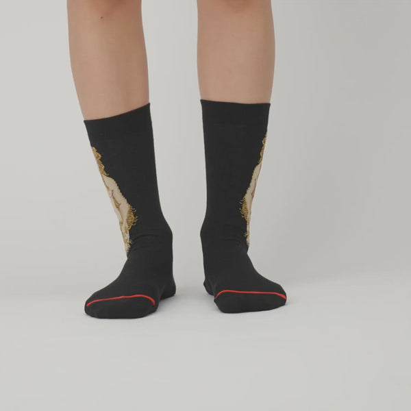 Musearta Sandro Botticelli - Venus