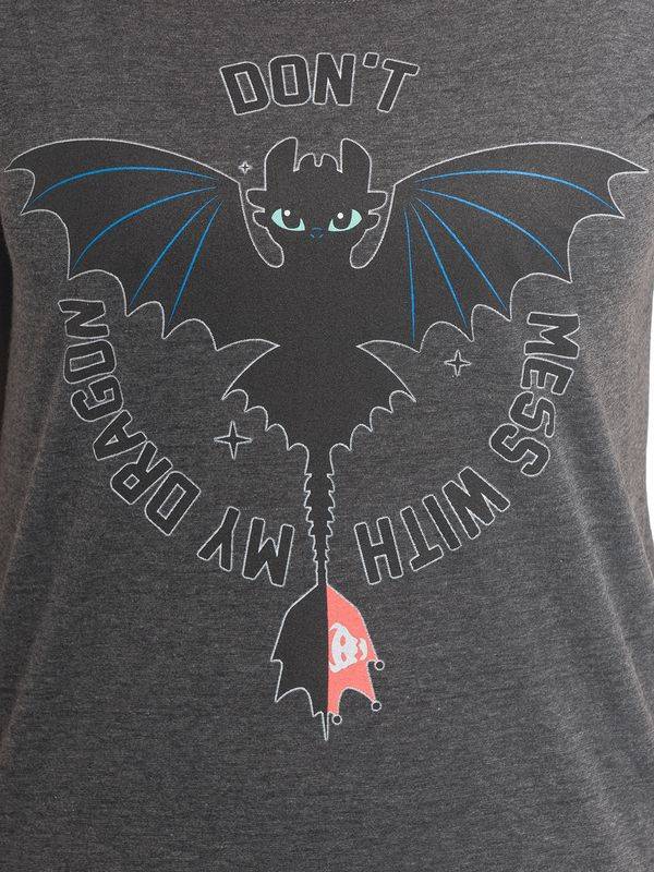 Nastrovje Potsdam Dragons, Drachenzähmen Leicht Gemacht Don't Mess Damen Loose-Shirt Dunkelgrau Meliert