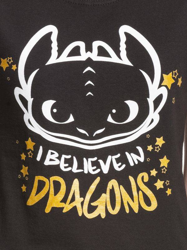 Nastrovje Potsdam Dragons, Drachenzähmen Leicht Gemacht I Believe In Dragons Damen T-Shirt Schwarz