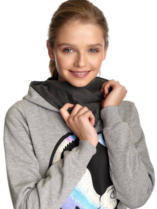 Nastrovje Potsdam Dragons, Drachenzähmen Leicht Gemacht Night&Light Damen Schalkragenpullover Grau Meliert