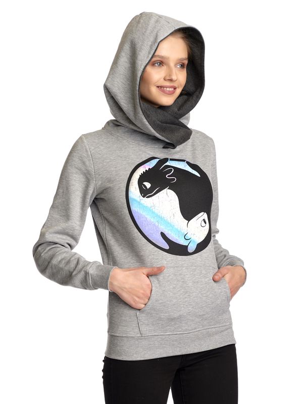 Nastrovje Potsdam Dragons, Drachenzähmen Leicht Gemacht Night&Light Damen Schalkragenpullover Grau Meliert