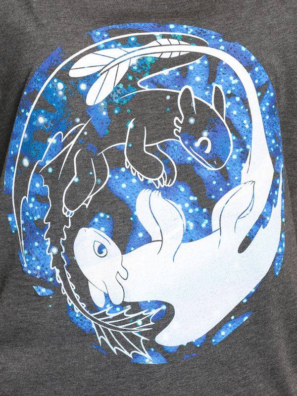 Nastrovje Potsdam Dragons, Drachenzähmen Leicht Gemacht Night & Light Damen Loose-Shirt Dunkelgrau Meliert