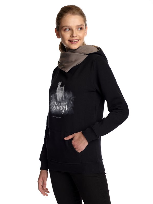 Nastrovje Potsdam Harry Potter Patronus Damen Schalkragenpullover Schwarz/grau