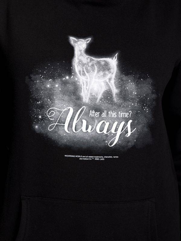 Nastrovje Potsdam Harry Potter Patronus Damen Schalkragenpullover Schwarz/grau