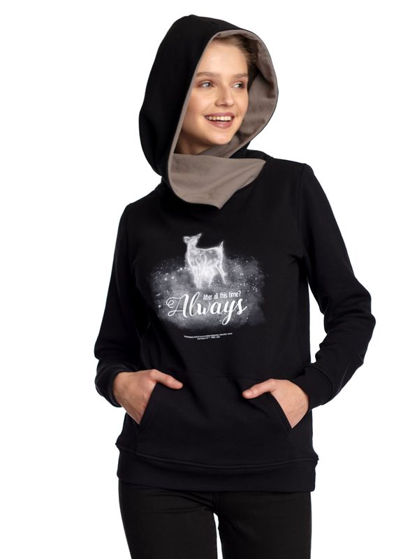 Nastrovje Potsdam Harry Potter Patronus Damen Schalkragenpullover Schwarz/grau
