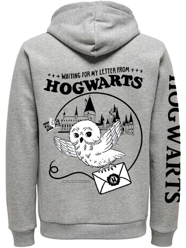 Nastrovje Potsdam Harry Potter Waiting For Letter Zip-Hooded Sweater Female Grau Meliert
