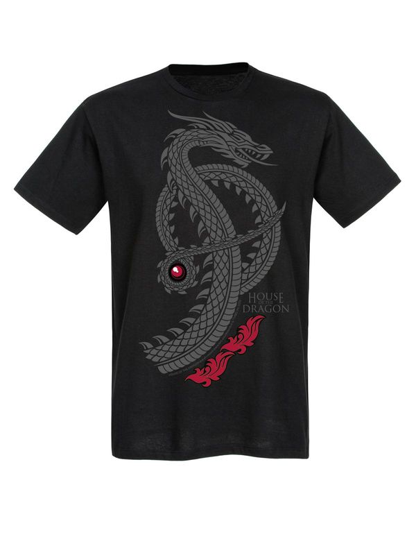 Nastrovje Potsdam House of the dragon Logo Herren T-Shirt schwarz