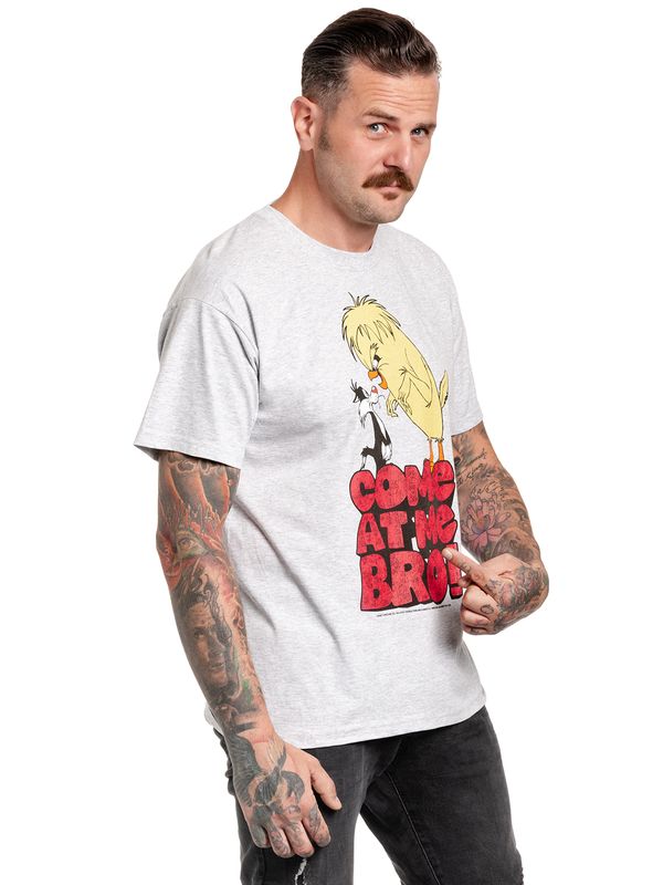 Nastrovje Potsdam Looney Tunes Come At Me Bro Herren T-Shirt Grau Meliert