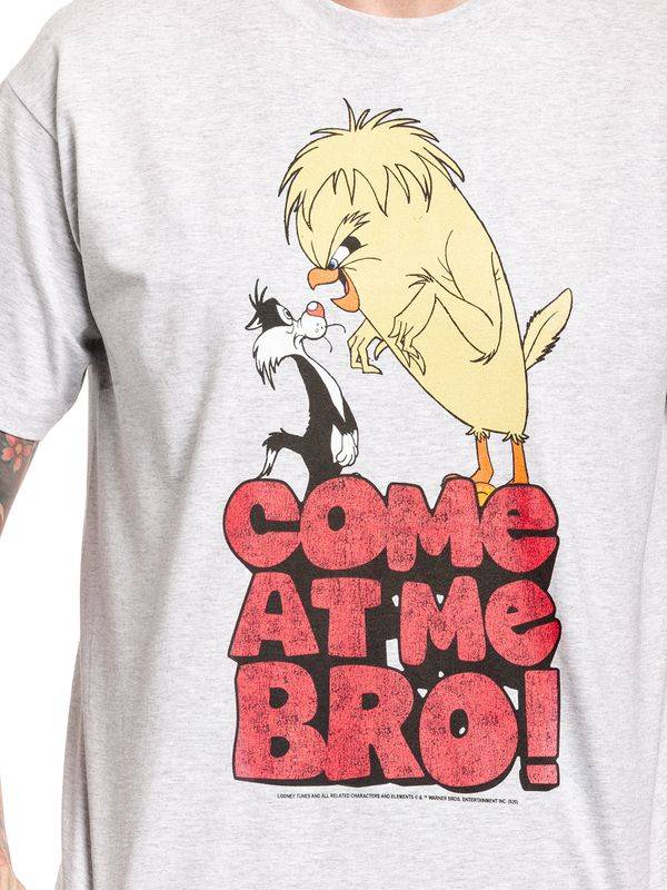 Nastrovje Potsdam Looney Tunes Come At Me Bro Herren T-Shirt Grau Meliert