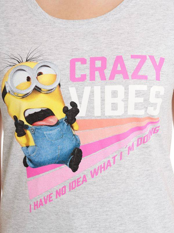 Nastrovje Potsdam Minions No Idea Damen T-Shirt Grau Meliert