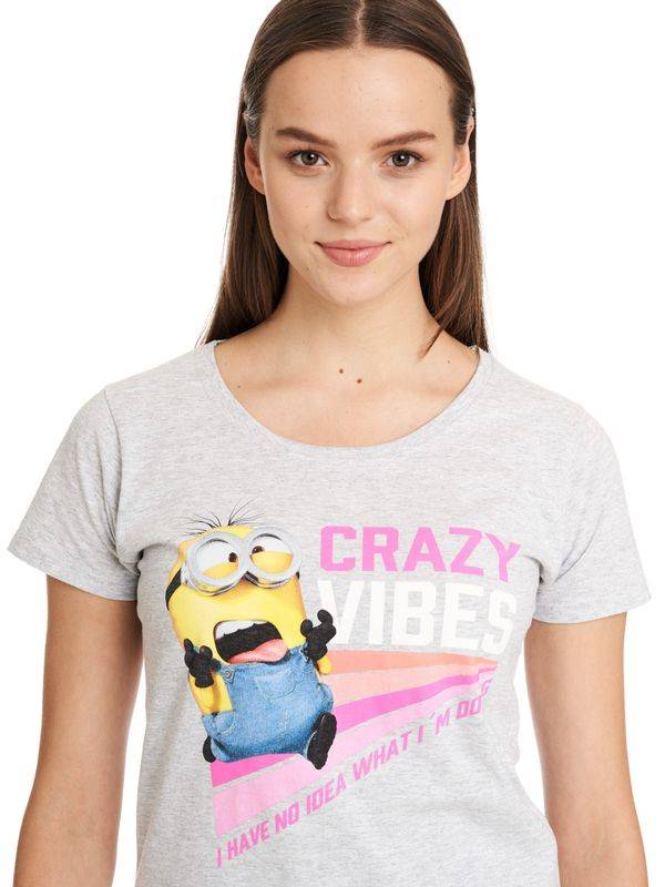 Nastrovje Potsdam Minions No Idea Damen T-Shirt Grau Meliert