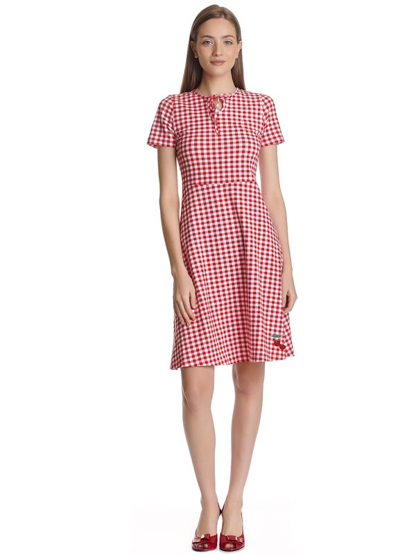 Nastrovje Potsdam Pussy Deluxe Back To 1955 Red Plaid Damen A-Linien-Kleid Rot Allover