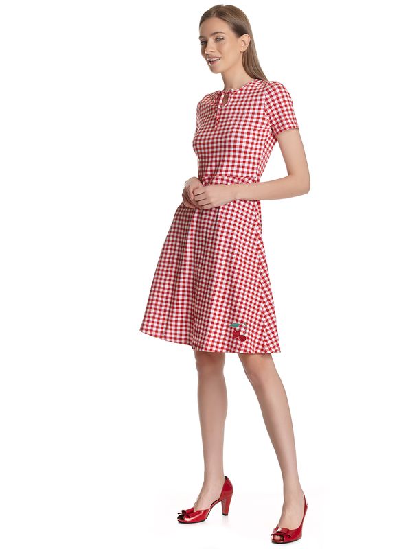 Nastrovje Potsdam Pussy Deluxe Back To 1955 Red Plaid Damen A-Linien-Kleid Rot Allover
