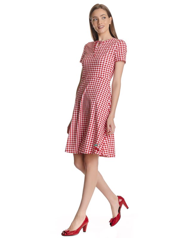 Nastrovje Potsdam Pussy Deluxe Back To 1955 Red Plaid Damen A-Linien-Kleid Rot Allover