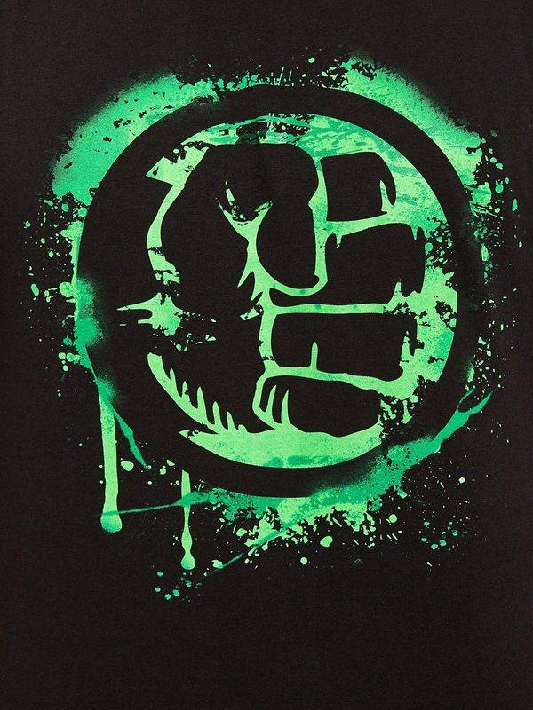 Nastrovje Potsdam The Hulk Punch Herren T-Shirt Schwarz NH