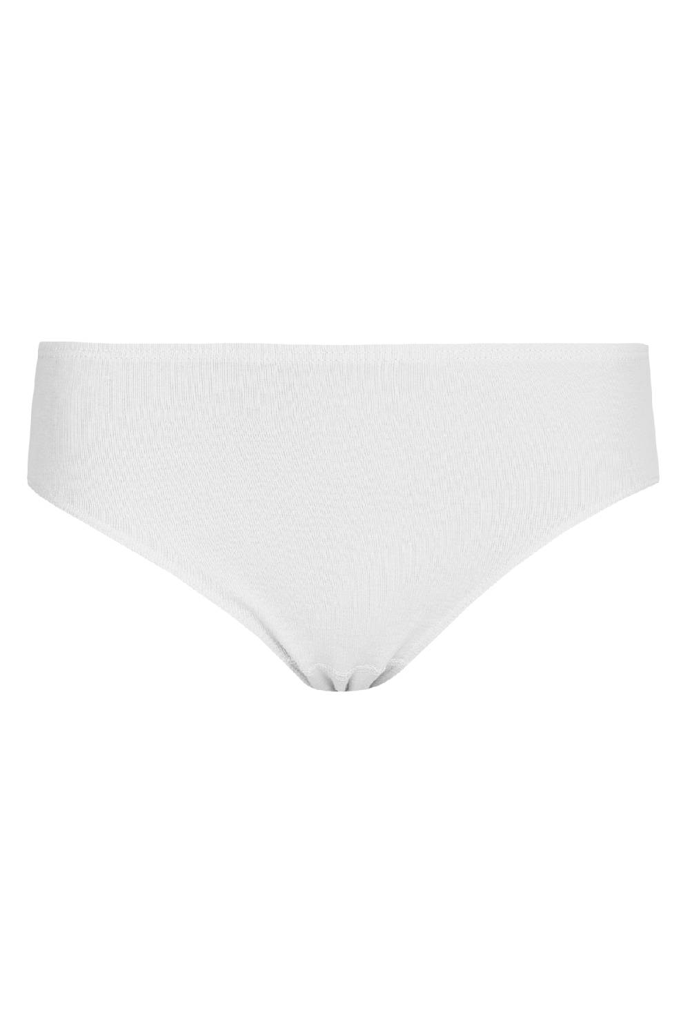 Nina Von C. Hüftslip, DAILY