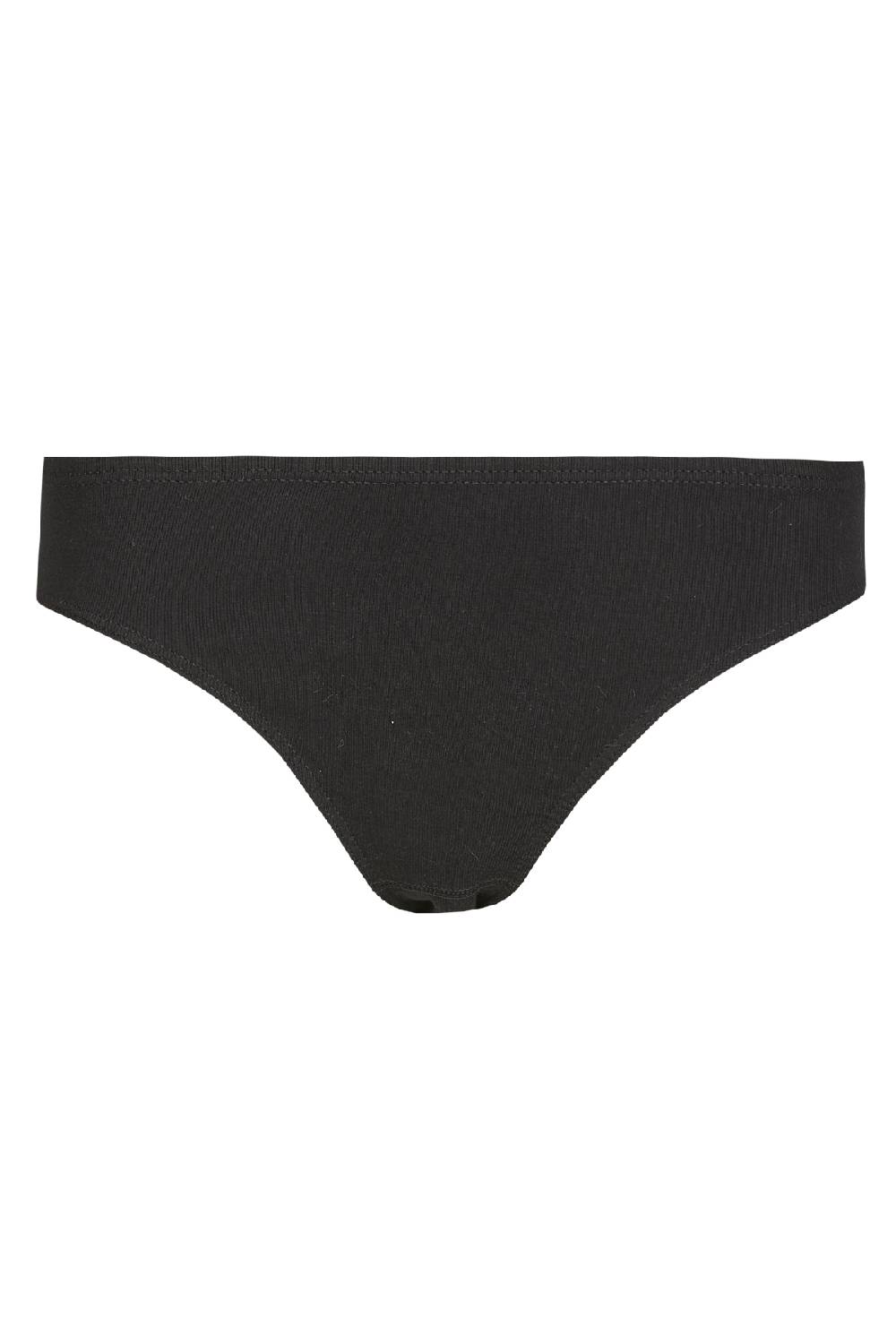 Nina Von C. Jazzpant, Daily