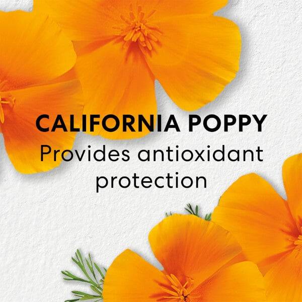 BareMinerals Skinlongevity Long Life Herb Serum 50ml