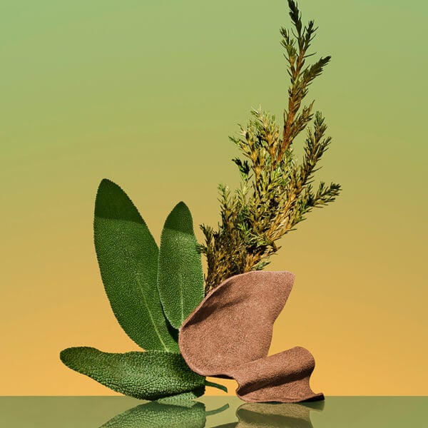 Calvin Klein Eternity Eau De Parfum 50ml