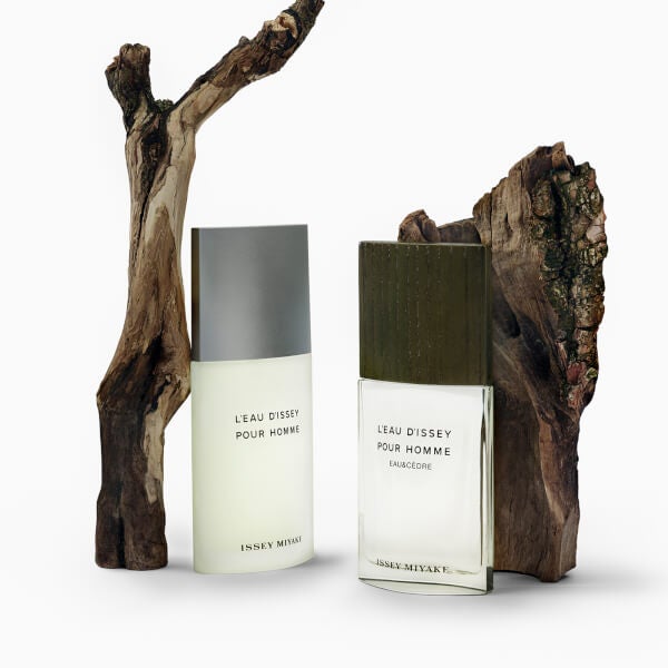 Issey Miyake L'Eau D'Issey Eau And Cèdre Eau De Toilette Intense 100ml