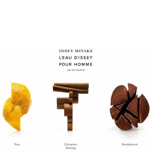 Issey Miyake L'Eau D'Issey Pour Homme Eau De Toilette 125ml