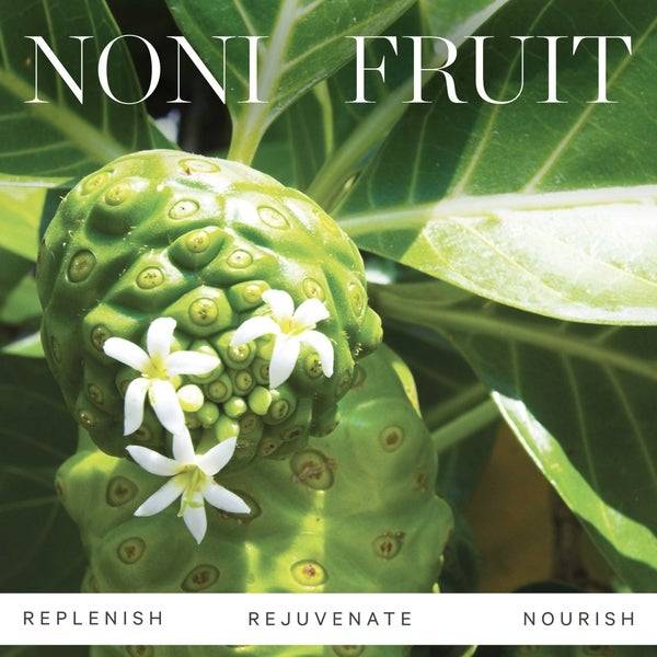 Kora Organics Noni Glow Face Oil 30ml