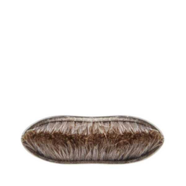 MAC 263 Small Angle Brush
