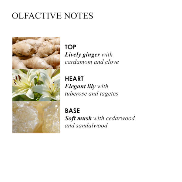 Molton Brown Ingwerlilie Handlotion 300ml