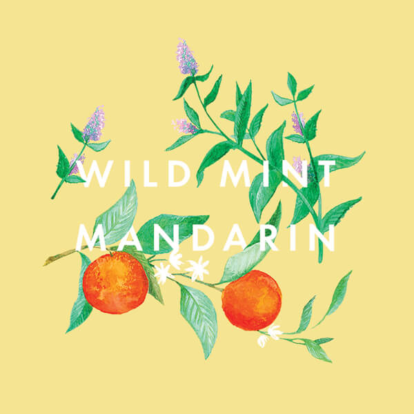 NEOM Great Day Hand- Und Körperlotion 300 ml