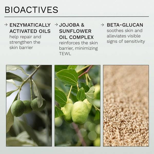 REN Clean Skincare - Evercalm Overnight Recovery Balm 30ml